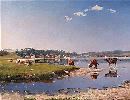 Cows at the bank of a fiord.
