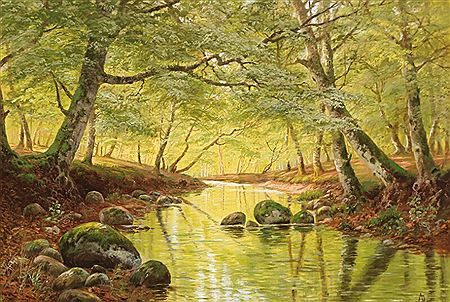 View from a forest stream on a sunny spring day.