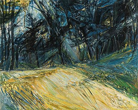 "Morning Forest"