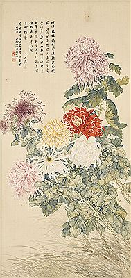 Chrysanthemum
