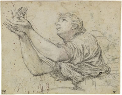 Study of a nymph, her arms outstretched by Pietro Da Cortona - Auction record, sale price, and art valuation. Compare with similar artists and explore comparable artworks.