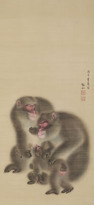 MONKEYS
