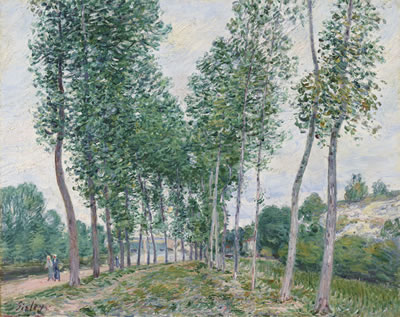L'allée des peupliers au bord du Loing