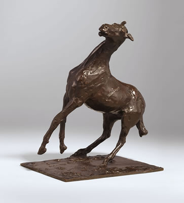 Cheval se cabrant