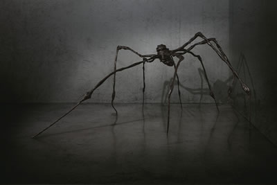 Spider