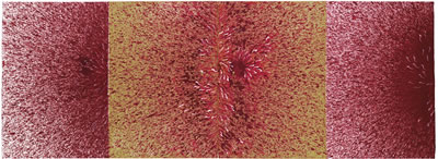 Untitled (Diptych)
