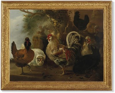 Group of Roosters and Hens