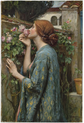 The Soul of the Rose