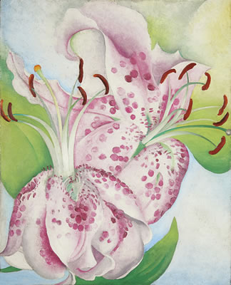 Pink Spotted Lillies