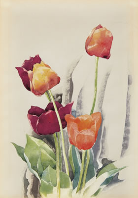 Tulips No. 2
