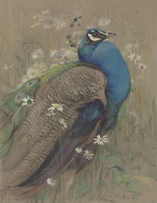 Artwork by Edwin John Alexander