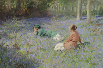 The bluebell wood