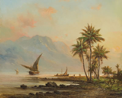 Venezuelan coastal landscape