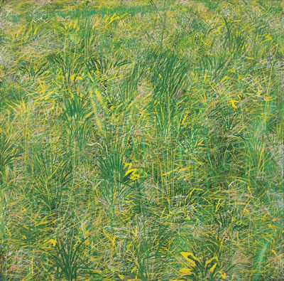 Grass
