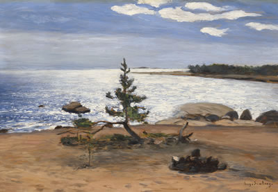 A lake view
