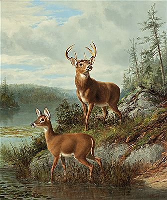 Wide Awake, Raquette Lake