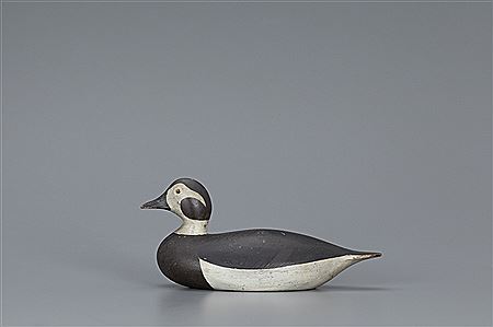 The Spear Family Long-Tailed Hen