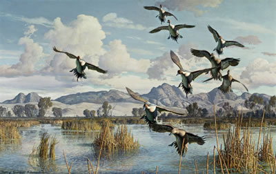 "Afternoons in Butte Sink, Spring"
