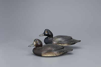 Hollow Bluebill Pair