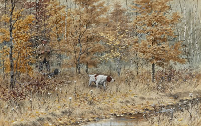 Fall Woodcock Shooting