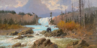 Bear at Swiftcurrent Falls