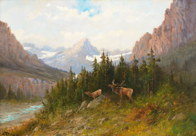 "Elk, Glacier Park (circa 1920s)"