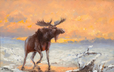 Winter Evening – Twilight Moose