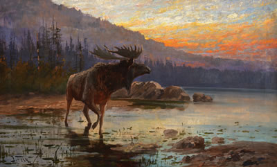 Moose on Jackson Lake (circa 1900)