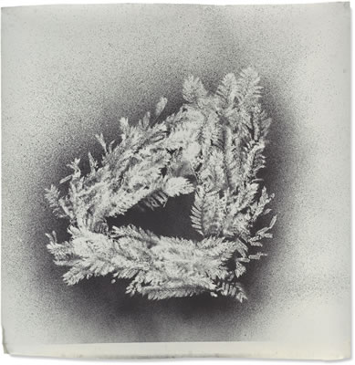 The Art of Creation I