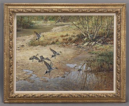 "Pintails Dropping In"