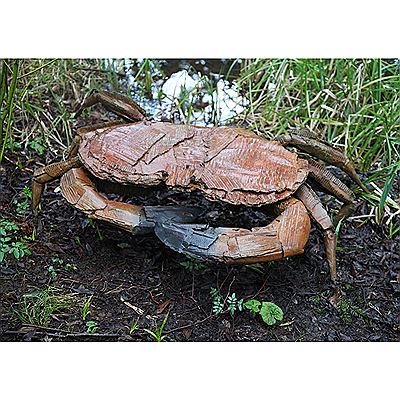 Giant Crab by Marjan Wouda - Auction record, sale price, and art valuation. Compare with similar artists and explore comparable artworks.