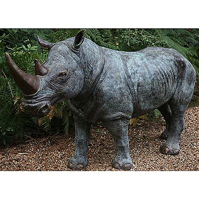 White rhinoceros