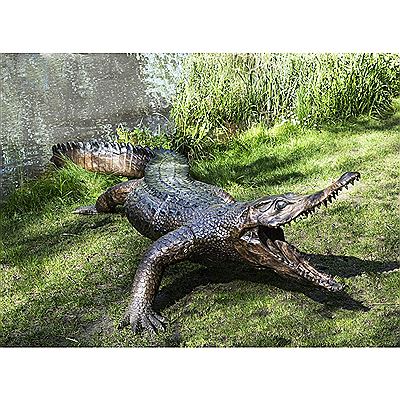 Crocodile