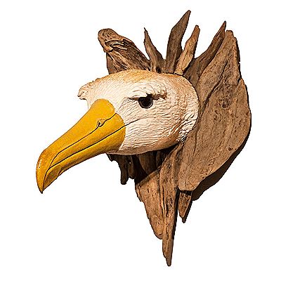 Albatross Head by Gail Dooley - Auction record, sale price, and art valuation. Compare with similar artists and explore comparable artworks.