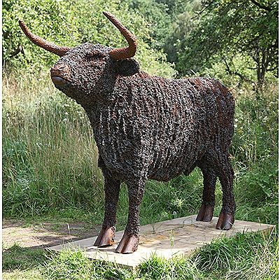 Longhorn
