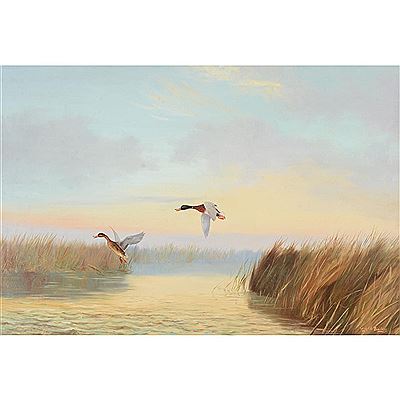 Evening Mists - Mallard by Wilfrid Bailey - Auction record, sale price, and art valuation. Compare with similar artists and explore comparable artworks.