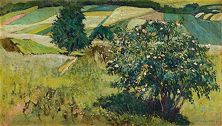 Summer landscape