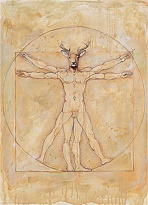Vitruvian deer, 2019