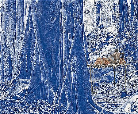 BAYI DAMBUN (GLADES OF DUSK AND SHADE), 2014