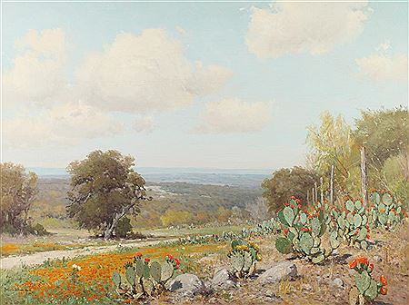 Cactus in the Hill Country