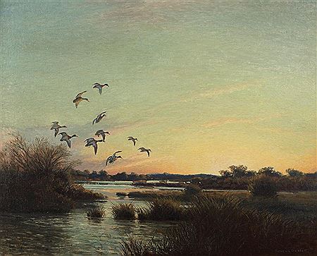 Ducks in Flight