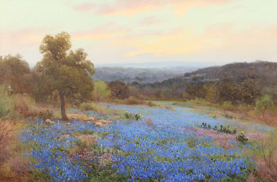 Texas Bluebonnets at Sunset