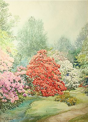 Rhododendrons and Azaleas