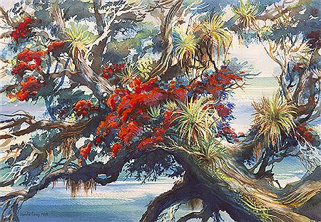 Pohutukawa by Harold Coop - Auction record, sale price, and art valuation. Compare with similar artists and explore comparable artworks.