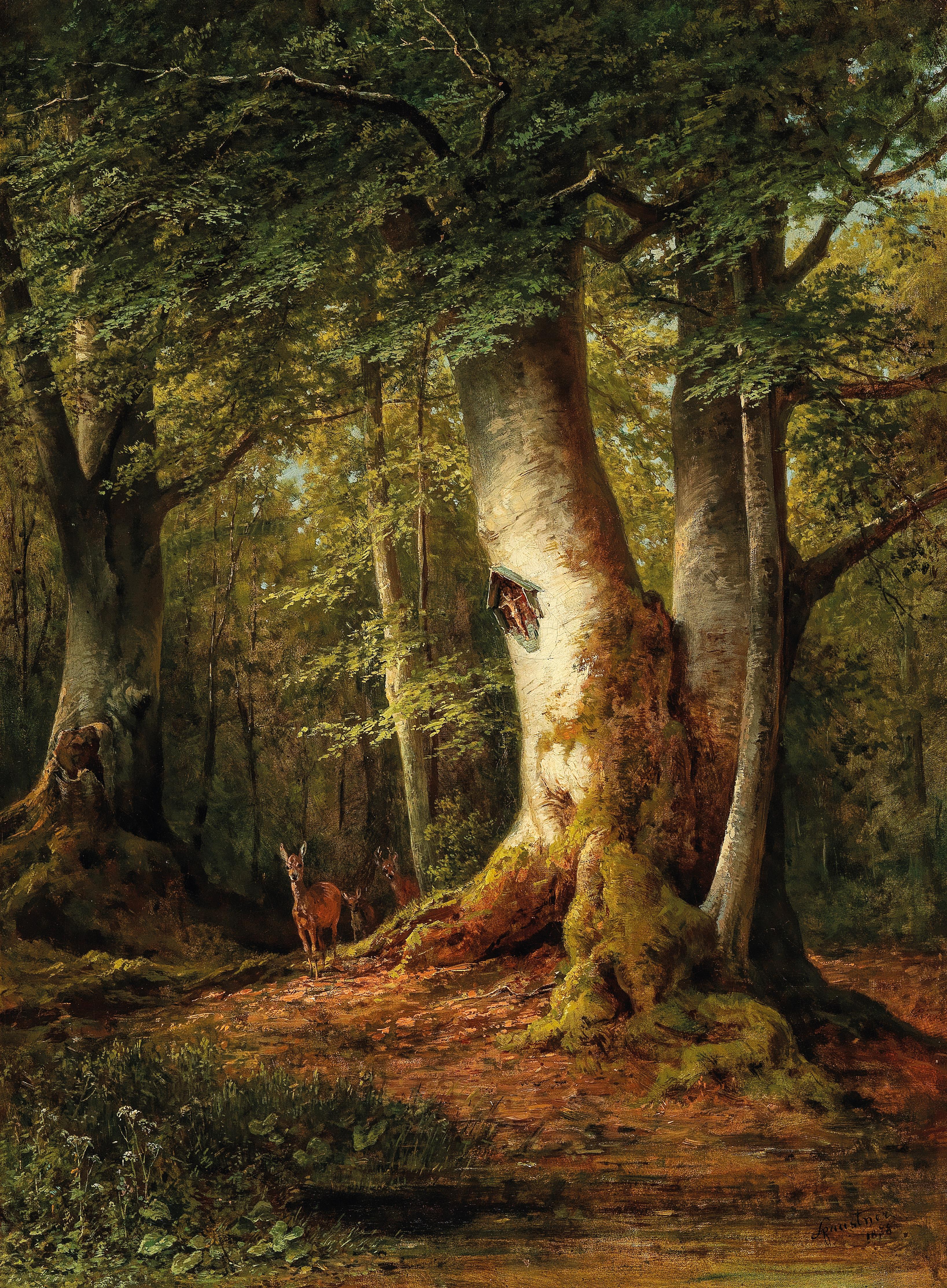 Waldstück mit Rehwild