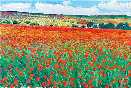 A Poppy Field
