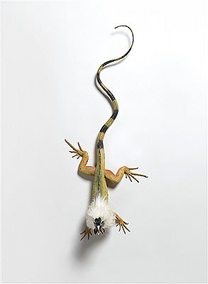 Medusa - CCP