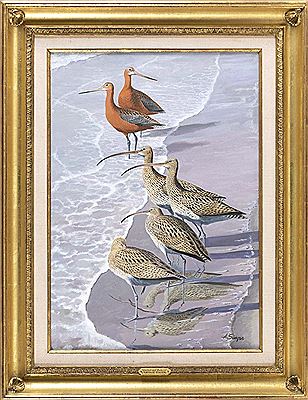 "Curlews and Godwits"