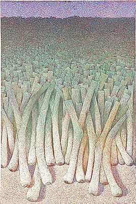 Leeks, 1992