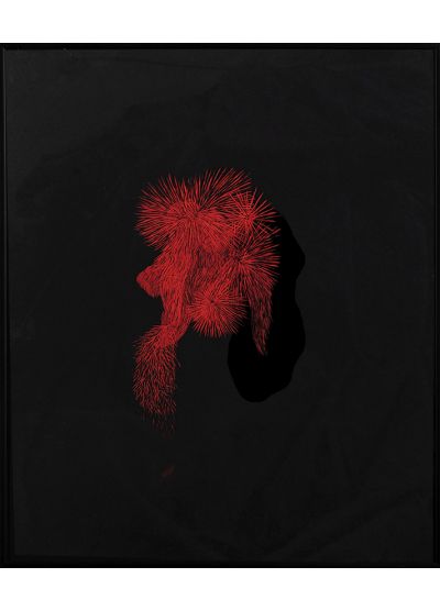 Sin título. 2004